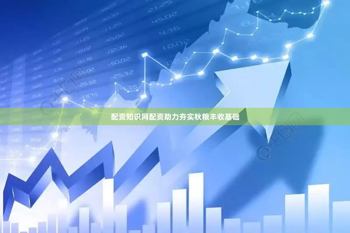 配资知识网配资助力夯实秋粮丰收基础