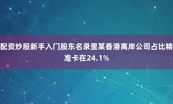 配资炒股新手入门股东名录里某香港离岸公司占比精准卡在24.1%