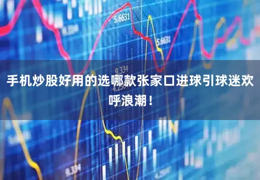 手机炒股好用的选哪款张家口进球引球迷欢呼浪潮！
